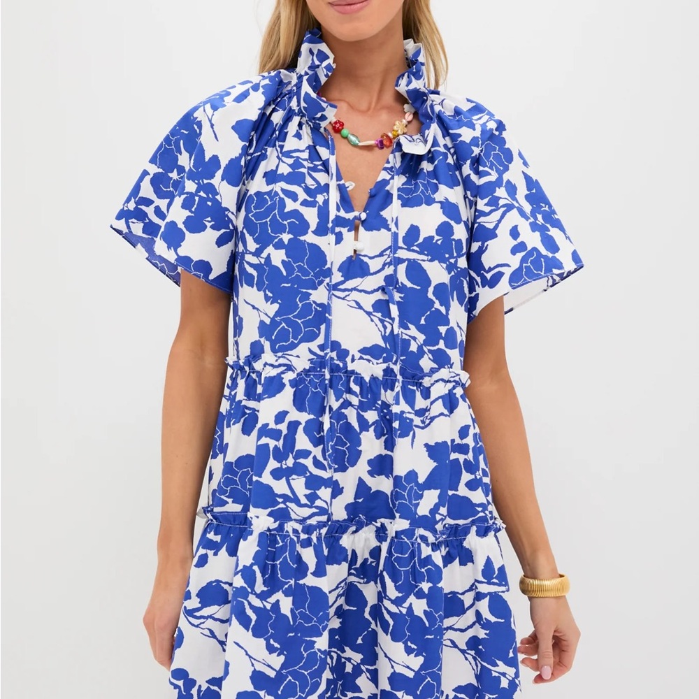 NWT Hyacinth House Blue & White Floral Thea Mini Dress
